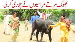 Mrasi chor//Bhotna,Shoki, Bilo ch koki Cheena & Sanam Mahi New Funny Video By Rachnavi Tv2