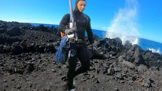 Unkz wanted Koles For a Party | Good Times & Funny Moments | Spearfishing for Mu, Kumu & Uku?