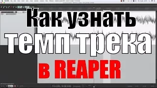 Как узнать темп (bpm) трека в рипере (Cockos Reaper)