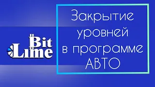 Командная работа по закрытию уровней в Автопрограмме Lime Company / партнёрский бизнес / онлайндоход