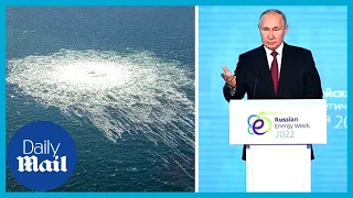 Putin says Nord Stream sabotage is 'act of international terrorism' | Russia Ukraine war