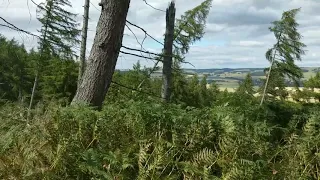 Fife Wondering - Orbea Optima Ebike vs Brother Big Bro SS 👌🍻