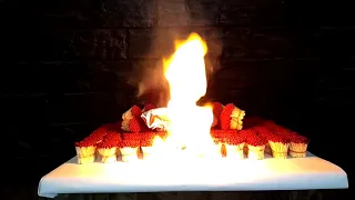 EXPERIMENT: 40,000 SAFETY MATCHES vs CHICKEN | Amazing Fire Domino.