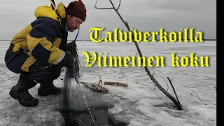 Talviverkoilla 29.3.2024 Viimeinen koku