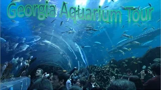 Georgia Aquarium Tour | The Largest Aquarium In The US & 4th Largest In The World!