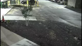 Surveillance video of Delaware attempted abduction suspect