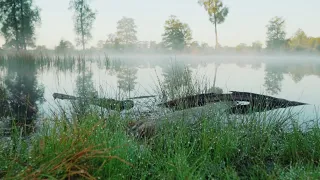 Dj Polkovnik - Гармонии добра и света. Безумно светлая музыка для души и настроения на каждый день.