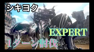 シキヨク　EXPERT １ターン討伐