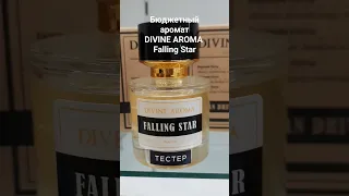 Бюджетный ирисовый пудровый пыльный аромат DIVINE AROMA Falling Star