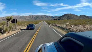 Exploring The Arch: Joshua Tree