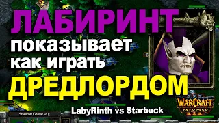 Лабиринт показывает как играть Дредлордом / LabyRinth vs Starbuck в Warcraft 3 Reforged