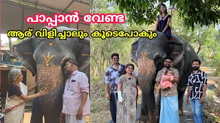 ആനപാപ്പാൻ വേണ്ട ആര് വിളിച്ചാലും കൂടെപോകുന്ന ആന Kerala Elephant joy motti