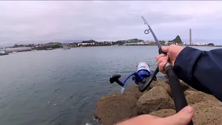 Testing the new setup - Fishing in New Plymouth NZ