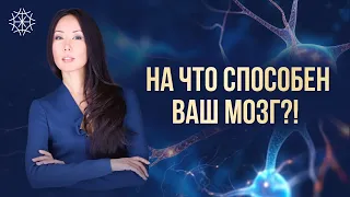 Ваш мозг знает все ответы!