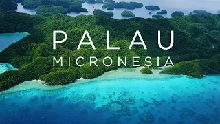 Palau, Micronesia - I found heaven on earth