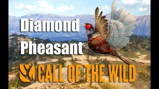 Diamond Pheasant - Rancho Del Arroyo - theHunter Call of the wild