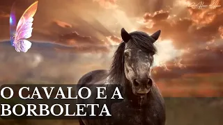 O CAVALO E A BORBOLETA (UMA LINDA REFLEXÃO DE VIDA)