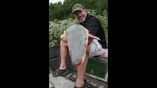 GIANT Alligator Gar on the Trinity River Day 2