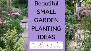 Small garden planting ideas...plants for narrow or small gardens