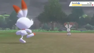 Pokemon Sword and Shield : HIGH QUALITY ANIMATIONS