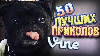 Самые Лучшие Приколы Vine! (ВЫПУСК 81) [17+]