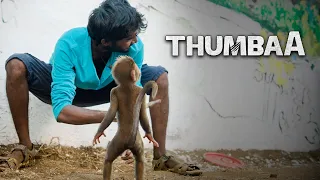 Thumbaa Tamil Movie | Dheena warns Darshan | Keerthi Pandian | KPY Dheena | AP International