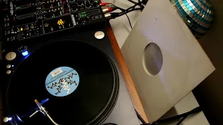 Rinkadink - Ultima (Protoculture Remix) 144/Bpm - Vinyl