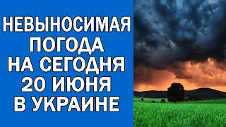 ПОГОДА НА 20 ИЮНЯ : ПОГОДА НА СЕГОДНЯ