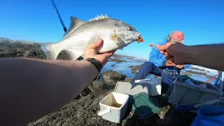 Fishing for Galjoen In Arniston Western Cape