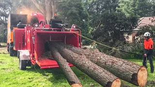 Amazing Powerful Wood Chipper Machines Technology, Fastest Modern Tree Shredder Machine Working