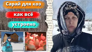 САРАЙ ДЛЯ КОЗ / КАК ВСЕ УСТРОЕНО