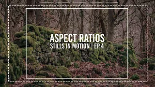 How to pick a PHOTO SHAPE! | Stills in Motion Ep.4