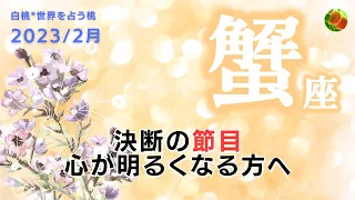 蟹座♋2023年2月★決断の節目。心が明るくなる方へ