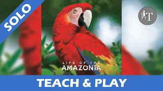 Tutorial& Solo Playthrough of Life of the Amazonia - Solo