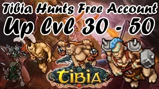 Tibia Hunts - Upando do lvl 30 ao 50 - melhores caves free account