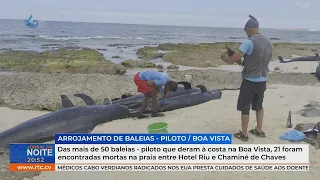 Encontradas 21 baleias mortas entre Hotel Riu e Chaminé de Chaves, de mais de 50 na Boa Vista