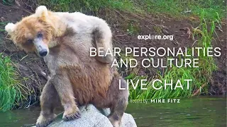 Bear Personalities and Culture | Brooks Live Chat