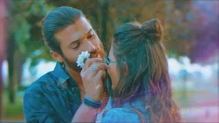 can & sanem dandelions