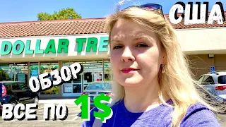 США Обзор магазина DOLLAR TREE / Что можно купить за 1$ в Америке