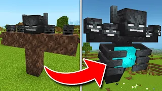 I Spawned the MEGA WITHER in Minecraft...