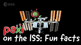 Paxi on the ISS: Fun facts about the ISS