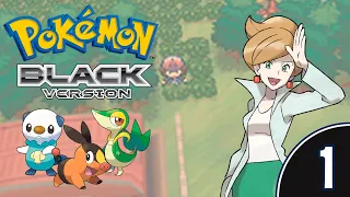 [1/10] Прохождение Pokemon Black (Nintendo DS): запись стрима (22.11.2020)