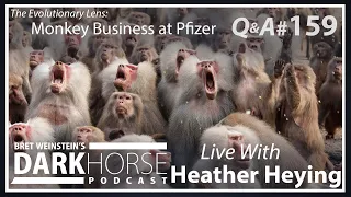 Your Questions Answered - Bret and Heather 159th DarkHorse Podcast Livestream