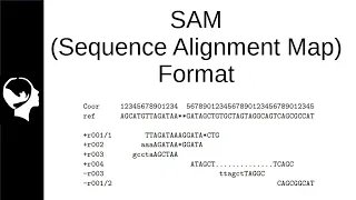 Understanding SAM/BAM file specifications