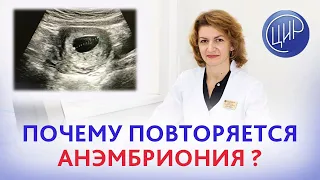 Анэмбриония. Почему повторяется анэмбриония? Привычное невынашивание беременности. Дементьева С.Н.