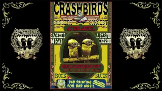 ROLLING STONES COVER ( CRASHBIRDS )"YOU CAN'T ALWAYS GET WHAT YOU WANT"