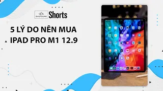 5 LÝ DO NÊN MUA IPAD PRO M1 12.9