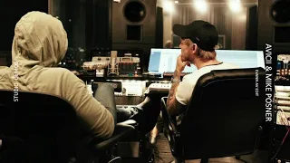 Avicii & Mike Posner - In My Arms ◢ ◤ Demo