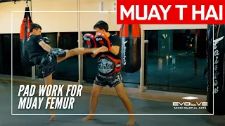 Muay Thai Training Series: Muay Femur | Pad Work For Muay Femur