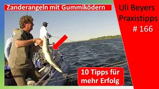 Zanderangeln und Köderführung: 10 Tipps für mehr Erfolg mit Gummiköder